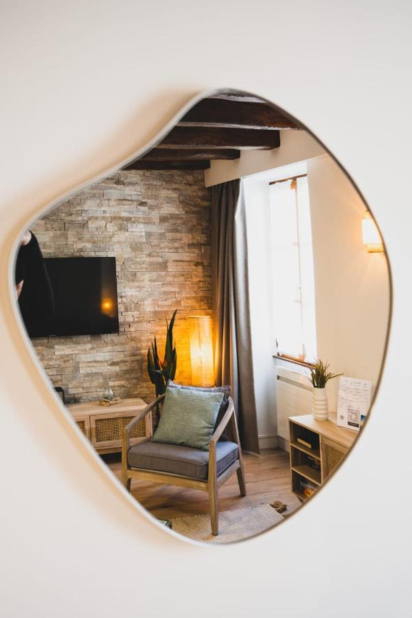 Le Grenette - Appartement Pour 2 A 4 Personnes En Plein Coeur D'Annecy Exterior foto
